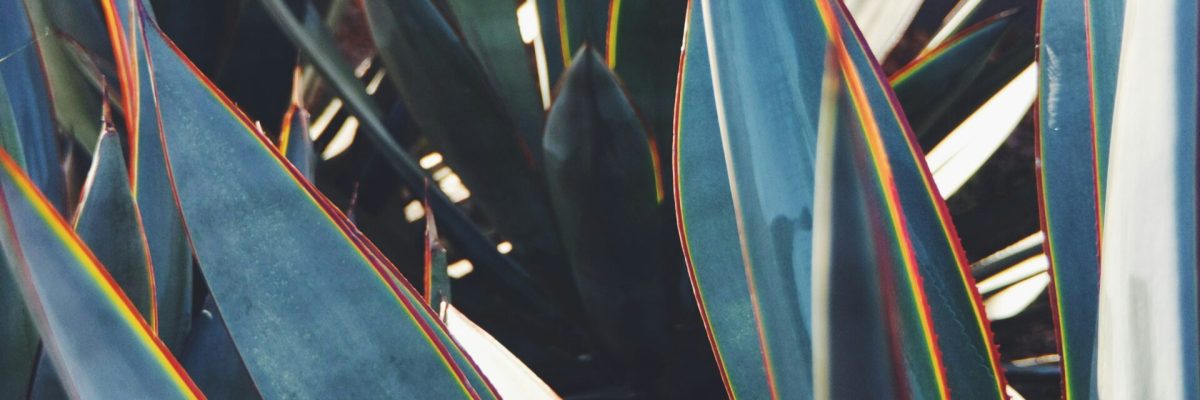 justin-heap-JT9B67LLjZI-unsplash